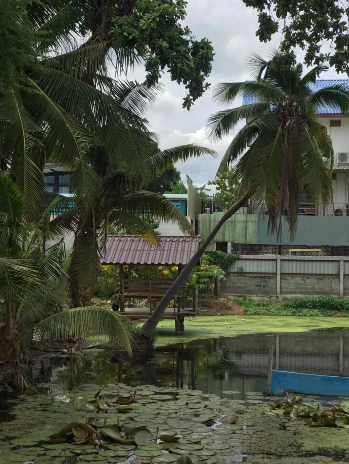 Baan Lotus Guest House Аюттхая Экстерьер фото