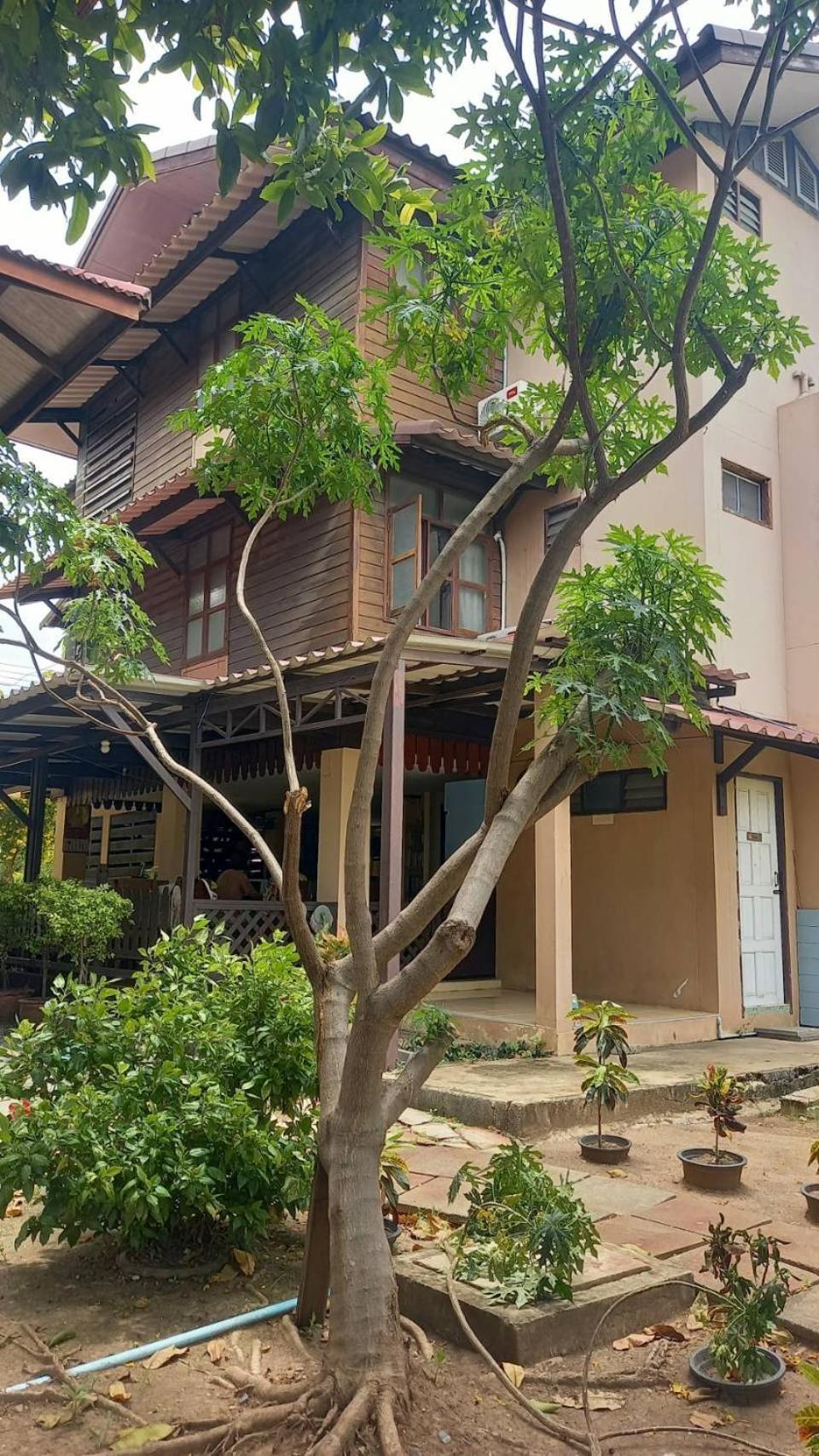Baan Lotus Guest House Аюттхая Экстерьер фото